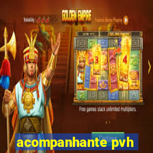 acompanhante pvh